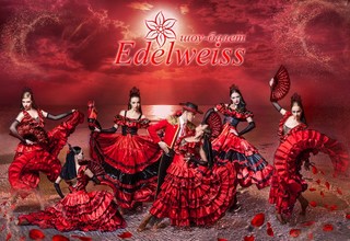 Шоу-балет Edelweiss - фото 10
